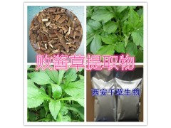 炙黄芪浓缩粉水溶粉