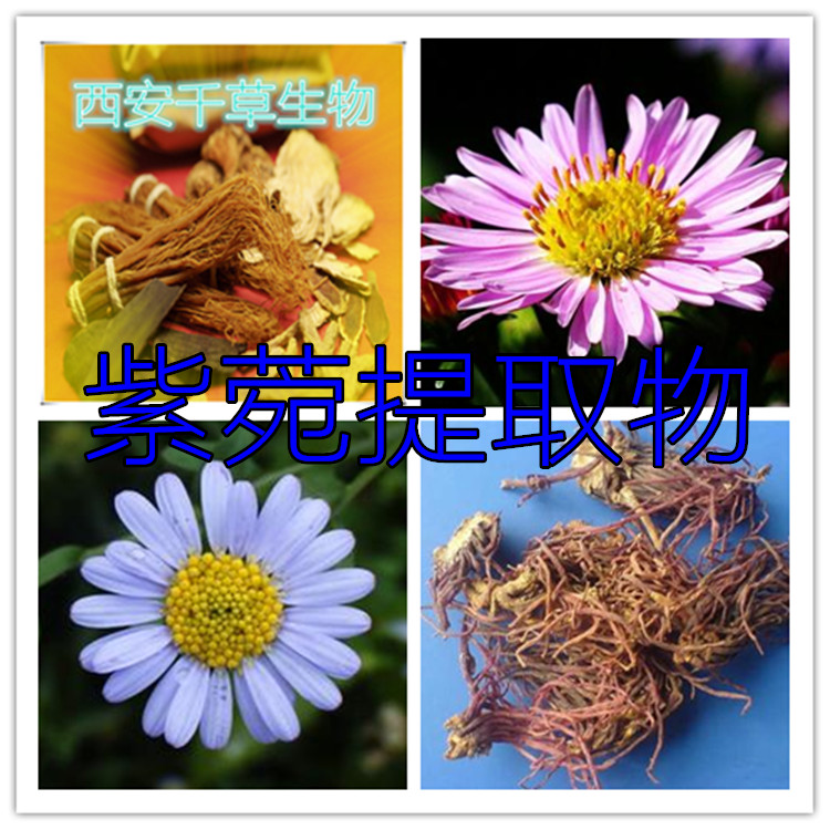 海螺提取物水溶粉