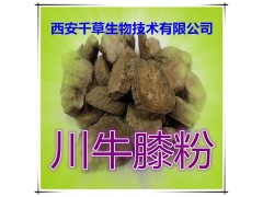 川牛膝浓缩粉水溶粉