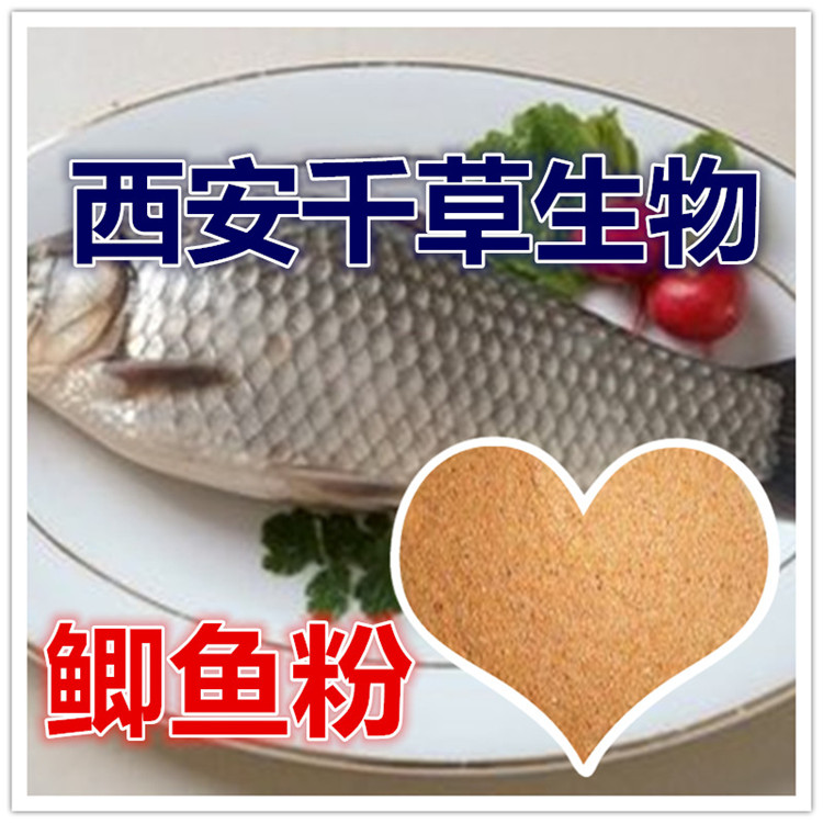 鲫鱼提取物水溶粉
