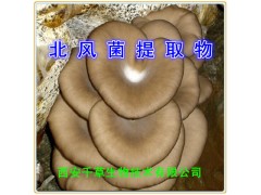 秀珍菇提取物水溶粉