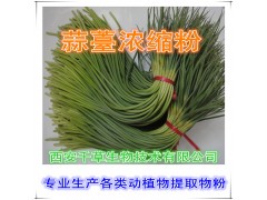 蒜苔提取物水溶粉