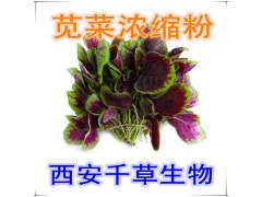 苋菜提取物水溶粉