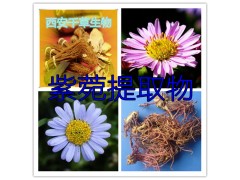 紫甘蓝提取物水溶粉