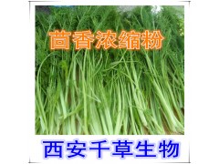 茴香菜提取物水溶粉