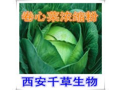 卷心菜提取物水溶粉