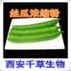 丝瓜提取物水溶粉