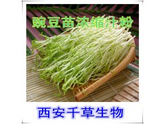 豌豆苗提取物水溶粉
