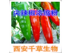尖辣椒提取物水溶粉