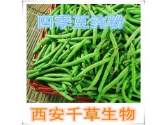四季豆提取物水溶粉