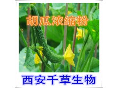 胡瓜提取物水溶粉