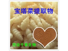 宝塔菜提取物水溶粉