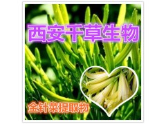 金针菜提取物水溶粉