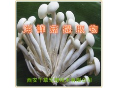 海鲜菇提取物水溶粉