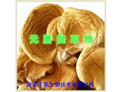 元蘑提取物水溶粉