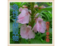 指甲花提取物水溶粉