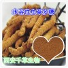 虫草提取物
