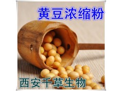 黄豆芽提取物水溶粉