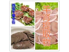 羊肾提取物水溶粉