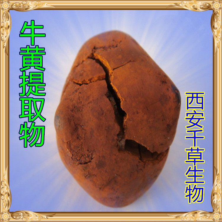 牛鞭提取物水溶粉