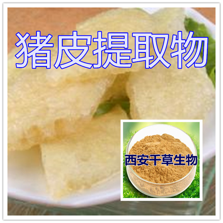 猪皮提取物水溶粉