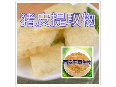 猪皮提取物水溶粉