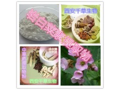 岩白菜素提取物水溶粉