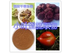 小叶莲提取物水溶粉