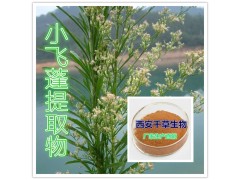 小通草提取物水溶粉