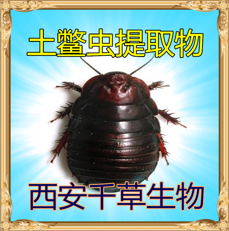 土鳖虫提取物水溶粉