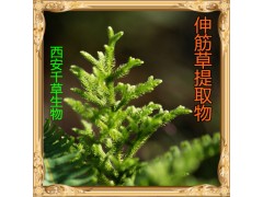 伸筋草提取物水溶粉