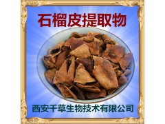 石榴皮提取物水溶粉