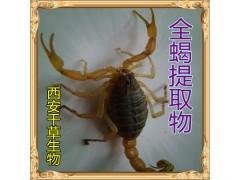 全蝎提取物水溶粉