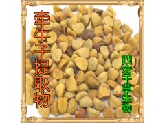 牵牛子提取物水溶粉