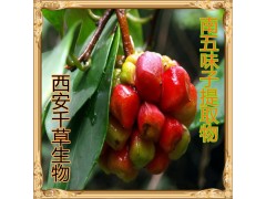 南五味子提取物水溶粉