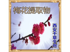 梅花提取物水溶粉