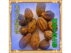 毛诃子提取物水溶粉