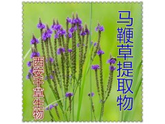 马鞭草提取物水溶粉