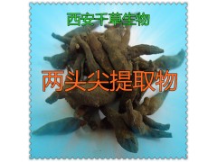 两头尖提取物水溶粉