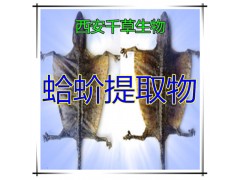 蛤蚧提取物水溶粉