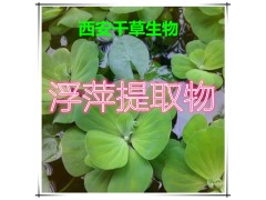 浮萍提取物水溶粉