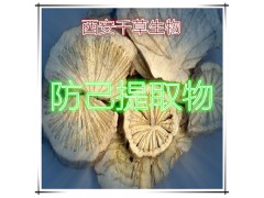防己提取物水溶粉