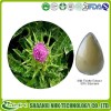 Milk Thistle Extract Powder
