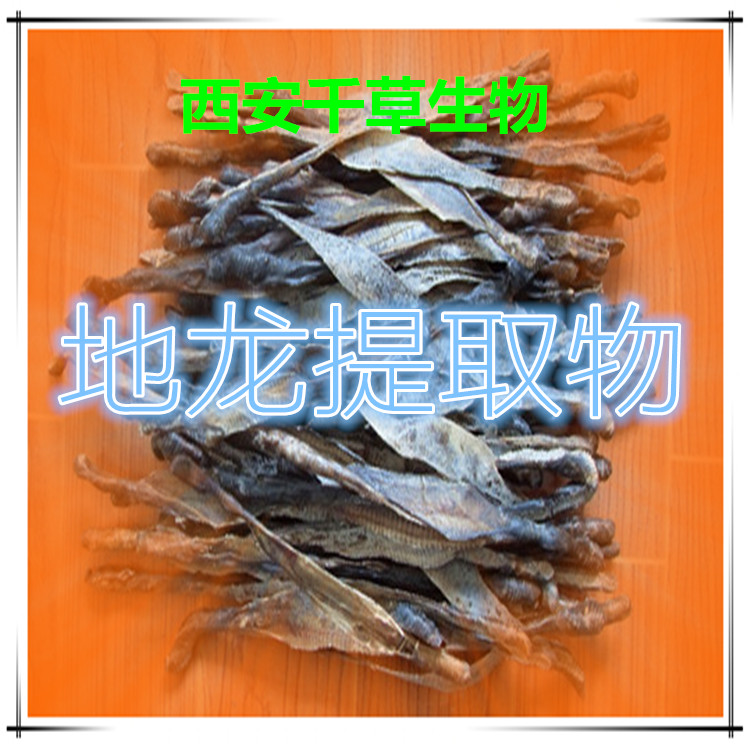 地龙提取物水溶粉