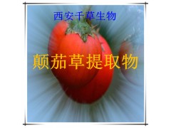 颠茄草提取物水溶粉