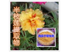 半枝莲提取物 半枝莲浓缩粉 半枝莲水溶粉