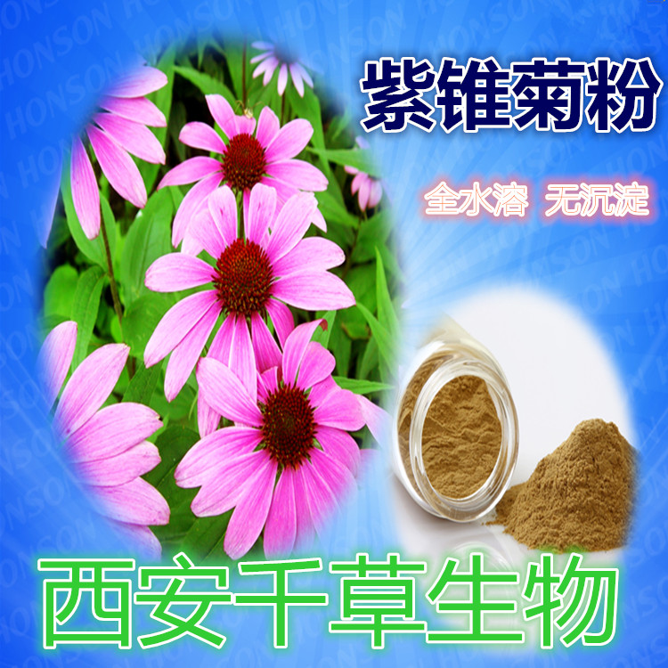 紫锥菊粉