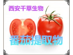 番茄提取物 番茄浓缩粉 番茄水溶粉