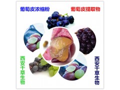 葡萄皮提取物 葡萄皮浓缩粉 葡萄皮水溶粉
