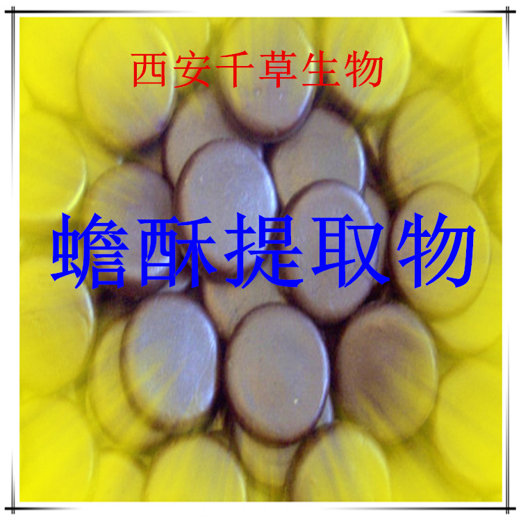 蟾酥提取物水溶粉